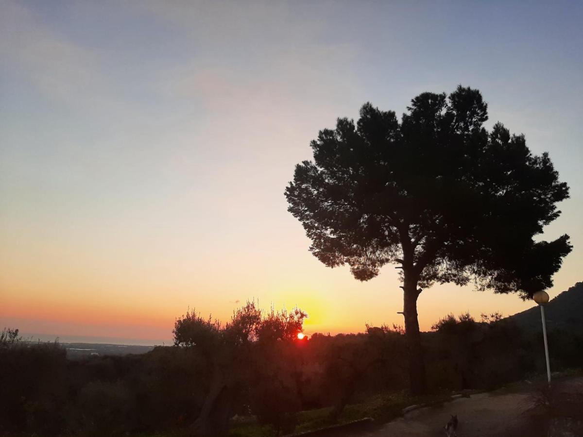 Alla Panoramica 모노폴리 외부 사진