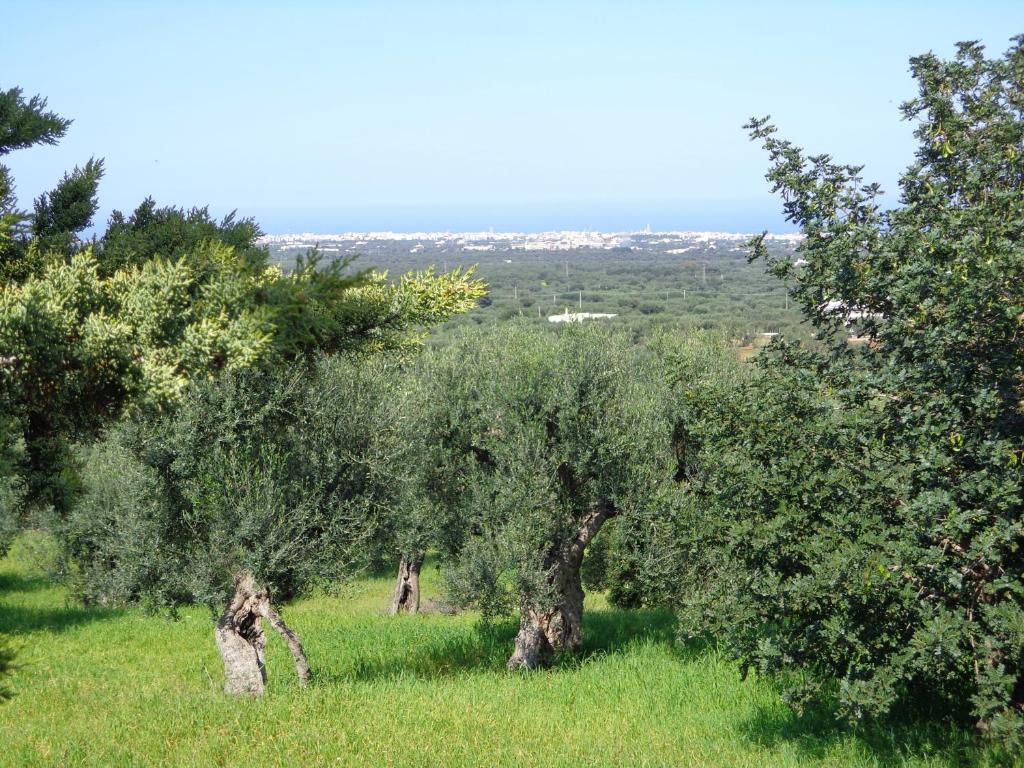 Alla Panoramica 모노폴리 외부 사진
